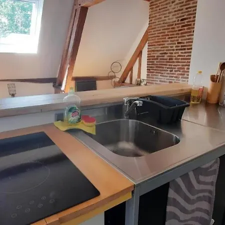 Apartamento Loft De Charme á 150m De La Cathédrale *
