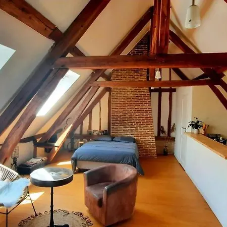 Loft De Charme á 150m De La Cathédrale * Beauvais